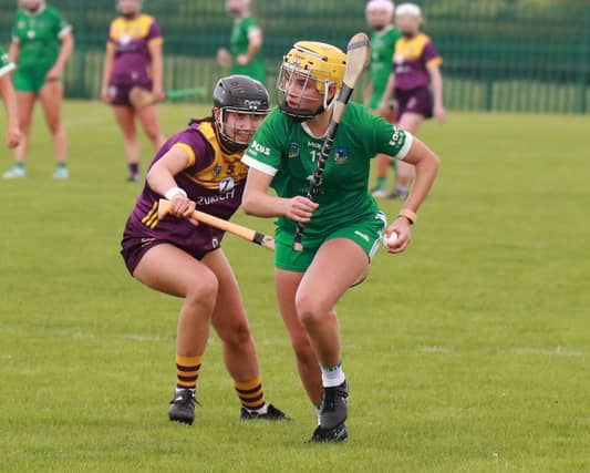 Limerick's Stephanie Woulfe in action against Wexford's Amy Cahill I PICTURE: Brendan Gleeson