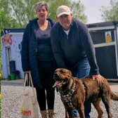 Lonely dog finally finds home after years in Irish dog shelter