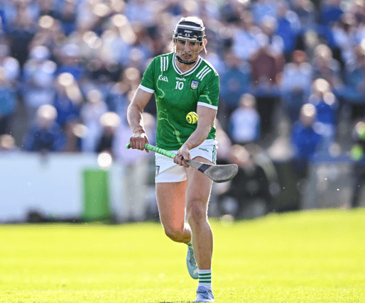 Limerick wing forward Gearoid Hegarty, PICTURE: Sportsfile