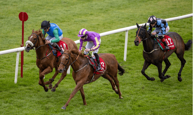 The Michael Mulvany-trained Dinamine and Limerick jockey Wesley Joyce score a narrow success at Gowran Park on Wednesday | PICTURE: Patrick McCann/Racing Post