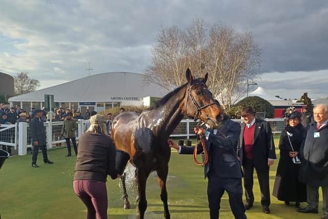 But Henderson added: “Nothing whatsoever should be read into the fact he schooled over fences, he is definitely NOT going down that route, but after discussing it with Nico, Michael (Buckley, owner) and James we decided this was the best thing to do. It was a brave decision but they are only baby fences and we hope it works.”