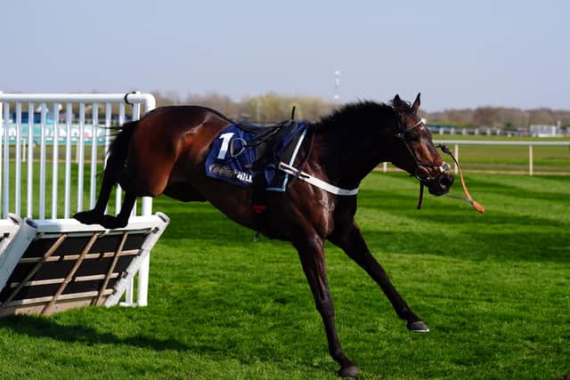 In a post on X, he said: “Constitution Hill jumped four fences on our Canter Carpet schooling strip this morning with James Bowen on top. Everything went extremely well and I couldn’t be happier with his condition.”
