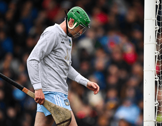 Limerick senior hurling goalkeeper Nickie Quaid, PICTURE: Sportsfile