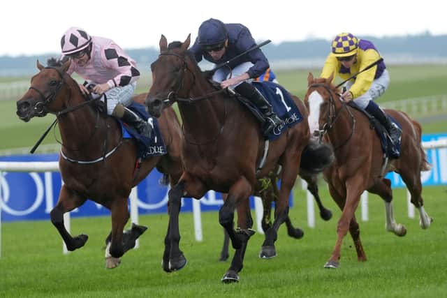 Henri Matisse won four of his six juvenile starts for Aidan O’Brien and has proven stamina over a mile having struck Breeders’ Cup gold in the Juvenile Turf.