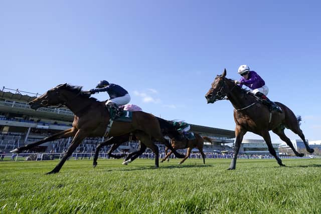 Winning trainer Aidan O’Brien said: “He wants to get there late and when he gets there, he waits.