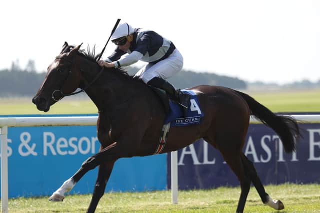 “She’s good, she’s a little bit highly strung like her sister, Content, trying to do too much. I would imagine where she runs, she’ll run as a second or third string, when there’ll be no pressure on her and whoever rides her will try to switch her off,” said O’Brien.