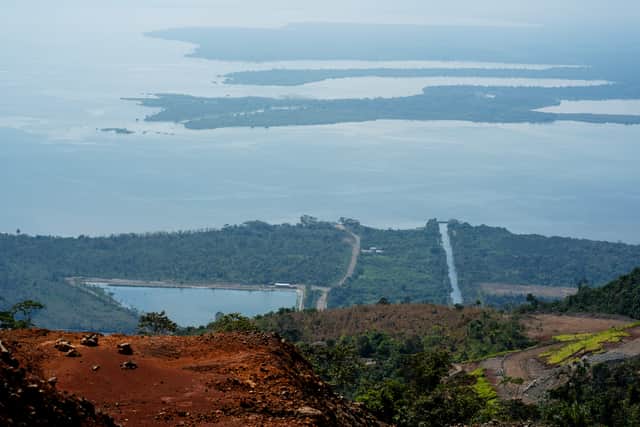 “If they want palm oil, they can harvest it themselves in their countries.”