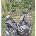 File pic - litter