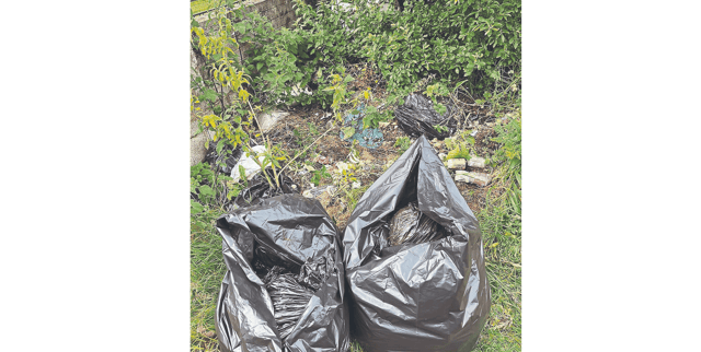 File pic - litter