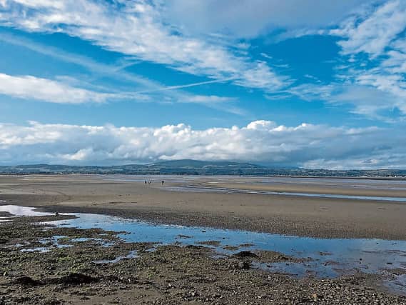 Dungarvan bay is an important habitat for birds as the mudflats are excellent feeding grounds in the winter