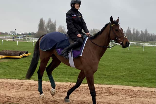 Monty’s Star will be partnered by De Bromhead’s number one Rachael Blackmore for his eagerly-awaited return, with the Grand National-winning jockey relishing the reunion, as connections dream of the gelding becoming their next Gold Cup contender.