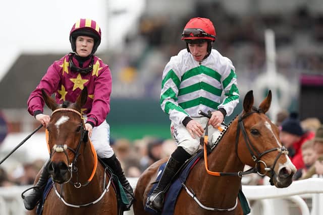 Minella Indo is of course also a previous winner of this race (in 2023), but the real excitement is generated from Monty’s Star, who chased home Fact To File at the Cheltenham Festival before being edged out by Spillane’s Tower at Punchestown in the spring.