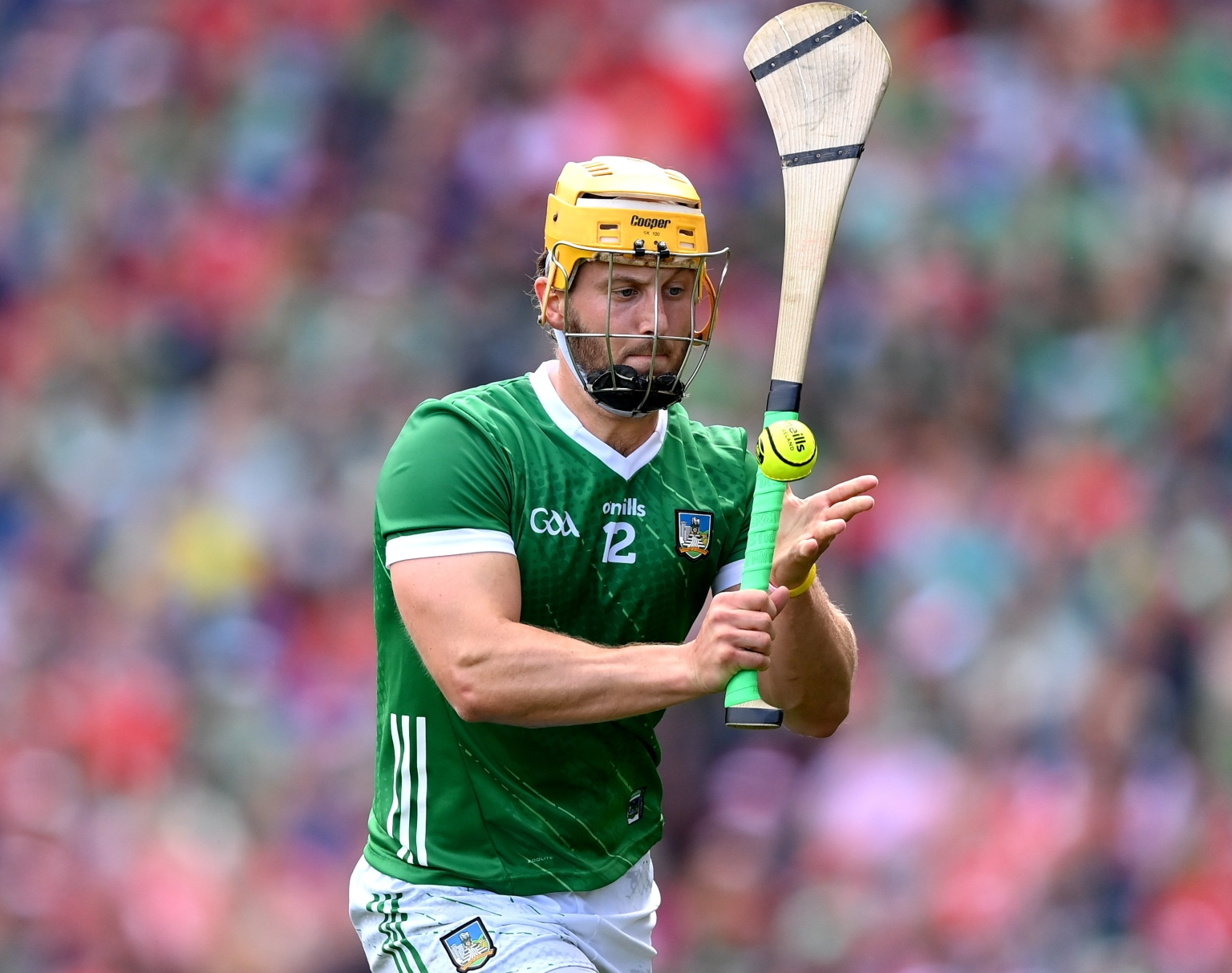 A year in review of Limerick hurling from county to club