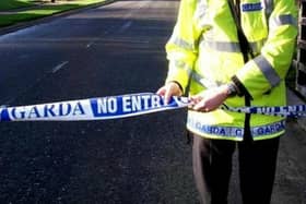 Two men have appeared in court charged in connection to an alleged hit and run incident in Longford town