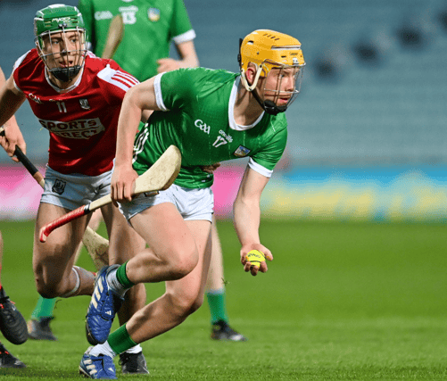 Fintan Fitzgerald, of University of Limerick, PICTURE: Sportsfile