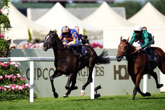 As well as his Derby triumphs at both Epsom and the Curragh, he landed the Futurity Trophy as a juvenile and along with further success on home soil in the Irish Champion Stakes, was a winner in America when capturing the Breeders’ Cup Turf under a fine Ryan Moore ride at Santa Anita in 2023.