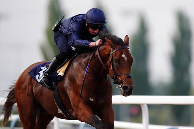 “The time off since the Travers has done him well and we’re all very pleased with how he is heading into the race.