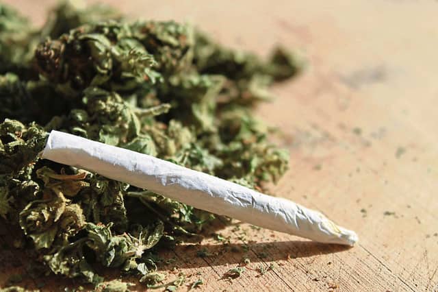 he defendant pleaded guilty to the possession of cannabis valued at €680 FILE PICTURE
