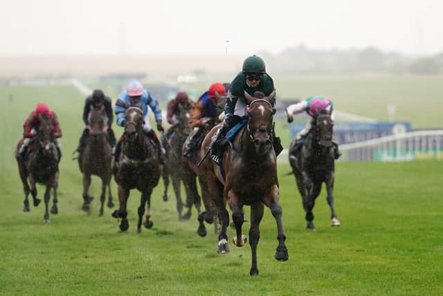 Last season she added a Falmouth Stakes triumph to her CV, as well as finishing second in the Juddmonte International and a close third in the Irish Champion Stakes.