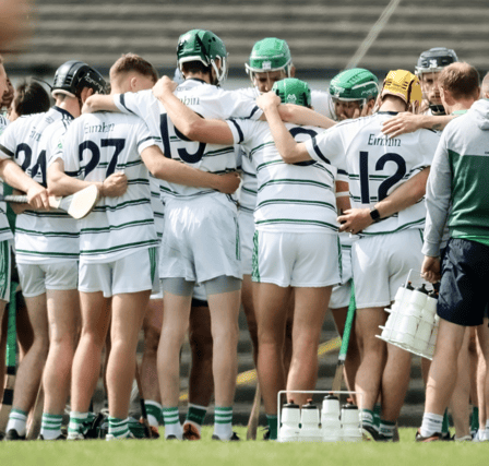 Effin defeated Ballyagran in the Lyons of Limerick County Premier Intermediate Hurling Championship on Saturday | PICTURE: Keith Wiseman