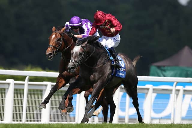 “Roaring Lion had an incredible run up to the Irish Champion Stakes. He was brilliant in the Juddmonte International at York. Those sort of horses, they make careers for jockeys and trainers and I have very fond memories of him.