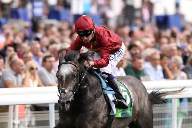 However, Roaring Lion would confirm the promise of his juvenile season and prove the mainstay of a phenomenal 2018 season, where Murphy would win nine Group Ones across five different countries.