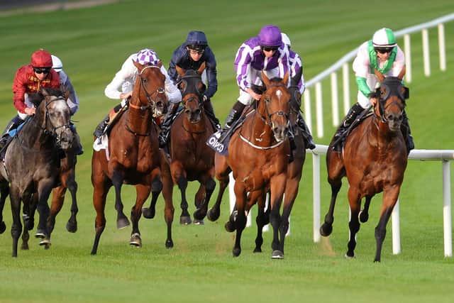 However, celebrations had to be curtailed with Murphy required on a trans-Atlantic mission the following day, with the magnitude of Roaring Lion’s success on Irish soil taking some time to sink in.