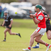 Sean Finn of Bruff in action during the Premier Intermediate Hurling Championship. PICTURE: Keith Wiseman
