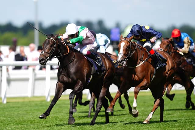 “Hopefully it is an open sort of race, we’ve beaten a couple of them before. We’ve beaten one of them before in the Arlington Million, so he should have a good chance in that race.”