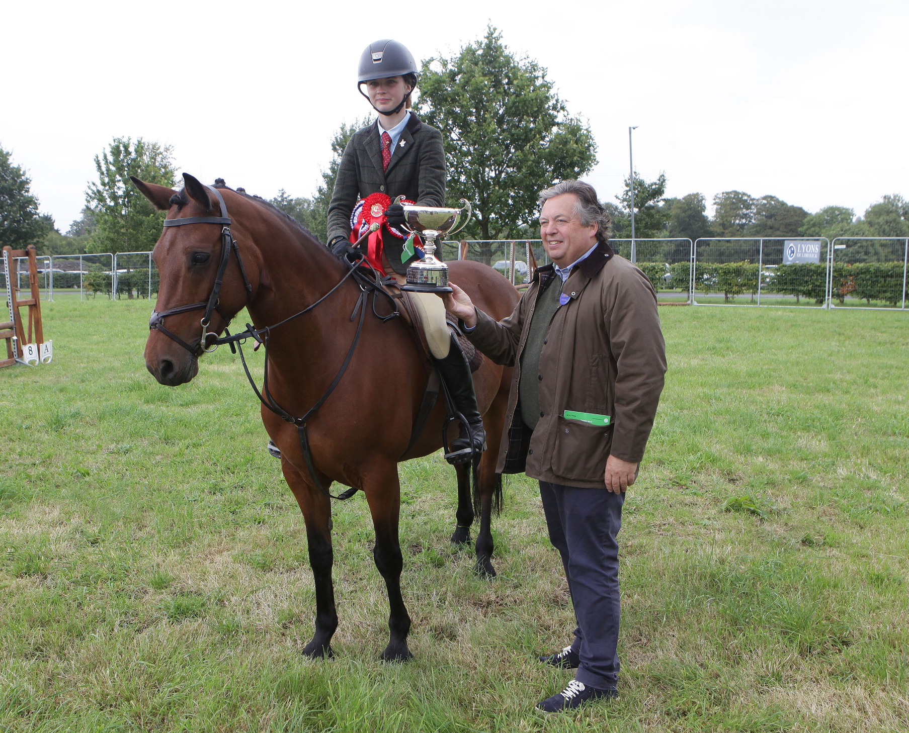 Limerick Show Horse and Pony Showing section results
