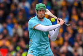 Limerick goalkeeper Nickie Quaid has been named on the RTE Sunday Game Team of the Year
