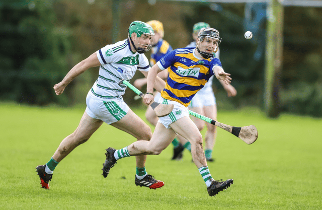 Action from the meeting of Blackrock and Effin in last year's Lyons of Limerick premier intermediate hurling championship semi-final | PICTURE: Keith Wiseman