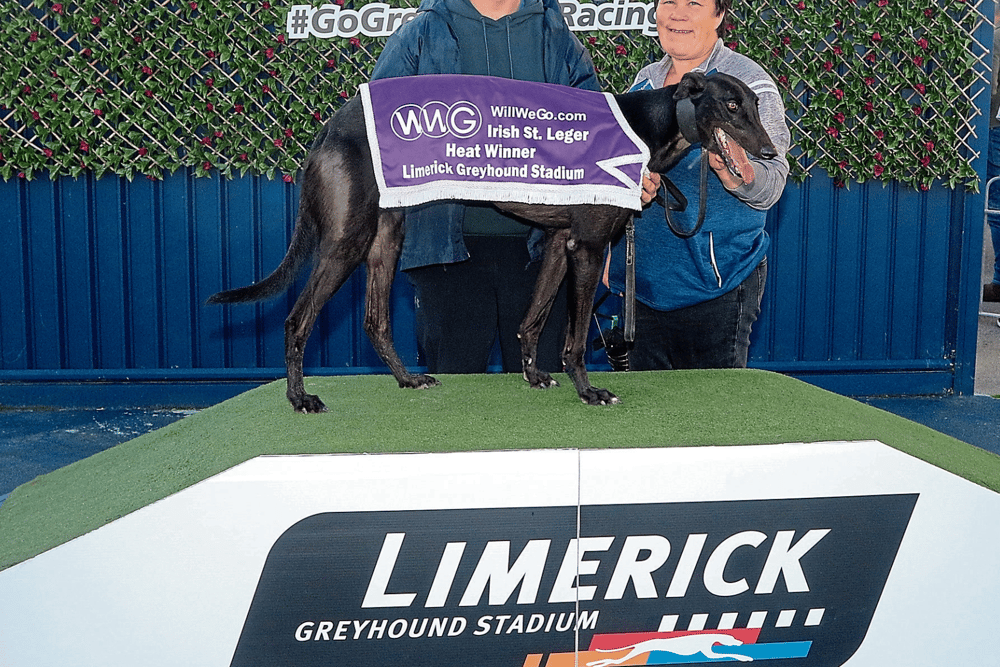 Chris Connolly and Corona Ryan with Coolavanny Percy who won heat five in round one of the WillWeGo.com Irish St Leger at Limerick Greyhound Stadium on Saturday last | PICTURE: Brendan Gleeson
