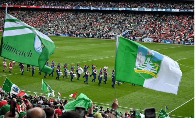 Limerick flags continue to fly high I PICTURE: Sportsfile
