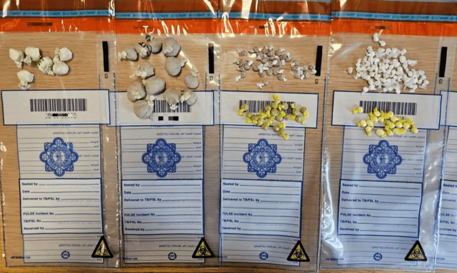 Gardaí seized suspected controlled drugs in Limerick city Centre