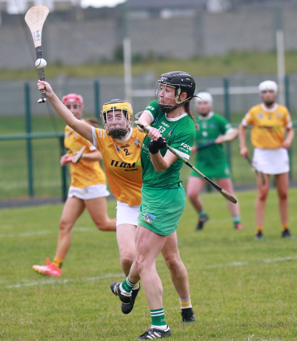 Dramatic finale as Limerick preserve senior camogie status with victory ...