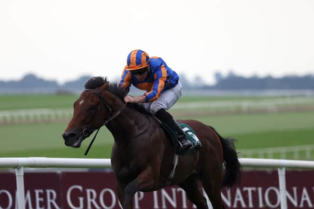 Aidan O’Brien saddled Paddington to take home this prize 12 months ago and will have his first chance of the week to record his 400th Flat winner at the highest level when he saddles both Henry Longfellow and Unquestionable.