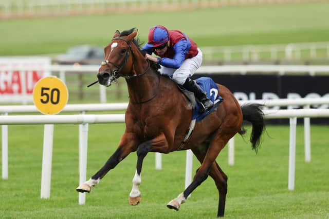 The colt did not run as a juvenile but made up for lost time when powering to an eight-length victory in an impressive success, with O’Brien looking to Goodwood as a possible option.