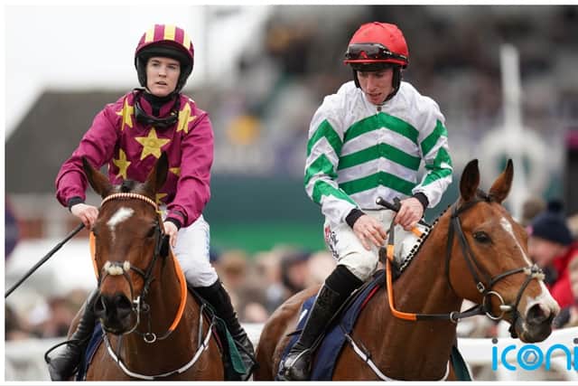 Spillane’s Tower disputes favouritism with De Bromhead’s Monty’s Star, who found only the much-vaunted Fact To File too strong in the Brown Advisory Novices’ Chase at Cheltenham.