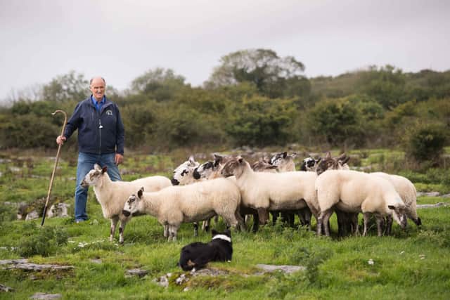 “The pre-season timing of the promotion is important as it targets consumers throughout Clare and the wider region, so they are aware of what is on offer here. I encourage everyone, particularly families, to take advantage of the half-price and free admission offers that are listed on www.visitclare.ie/wow and come out and enjoy the best of County Clare,” he added.