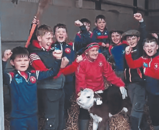 Bruff Bord na nÓg players with Bridie Mulqueen and a calf that she and son Roger are donating to the club's GAA championship preview raffle