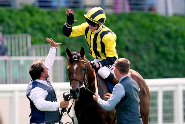 “We are thankful and grateful to them, and to Shaikh Khalid for insisting that we left no stone unturned to try to give the horse a future.