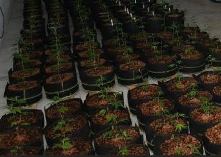 The suspected drugs will now be sent to Forensic Science Ireland (FSI) for analysis.