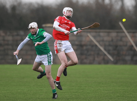 Monaleen's Ben Murnane in action during their Munster Junior B Hurling Final against Drom & Inch PICTURE: Brendan Gleeson