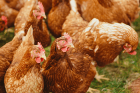 The confinement order comes into effect on November 7