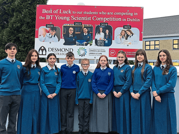 Desmond College's hardworking young scientists taking part in this year's competition