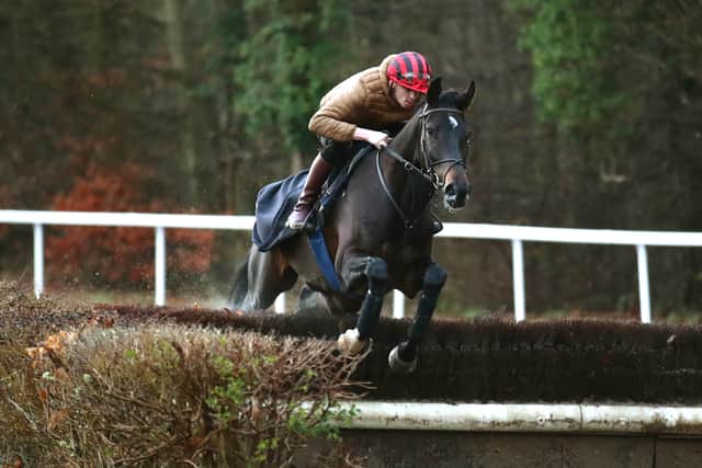 With Ile Est Francais having been campaigned almost exclusively at Auteuil so far, he will have a number different questions answer at Kempton, where James Reveley will ride.