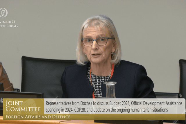 She told the committee: “The trickle of humanitarian assistance entering from Egypt meets only a fraction of people’s needs. The closure of the strip amounts to collective punishment on an unprecedented scale on an already vulnerable and impoverished civilian population.