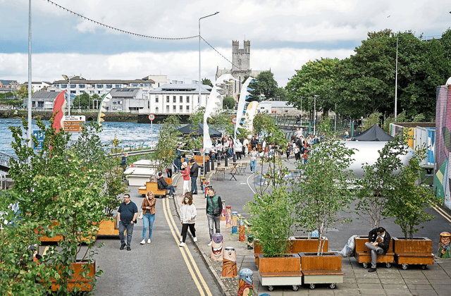 An urban garden was opened to the rear of the UL city centre campus in the summer months at Honan’s Quay
