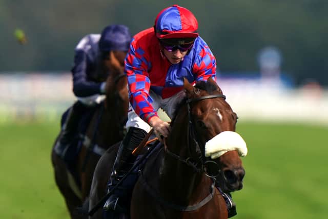 “It was worth going for it and I think, in hindsight, Goodwood took a lot out of him on the heavy ground and was the contributing factor to him running poorly there. If he had another two weeks after Goodwood before the Nunthorpe, I think it might have been a different story all together.